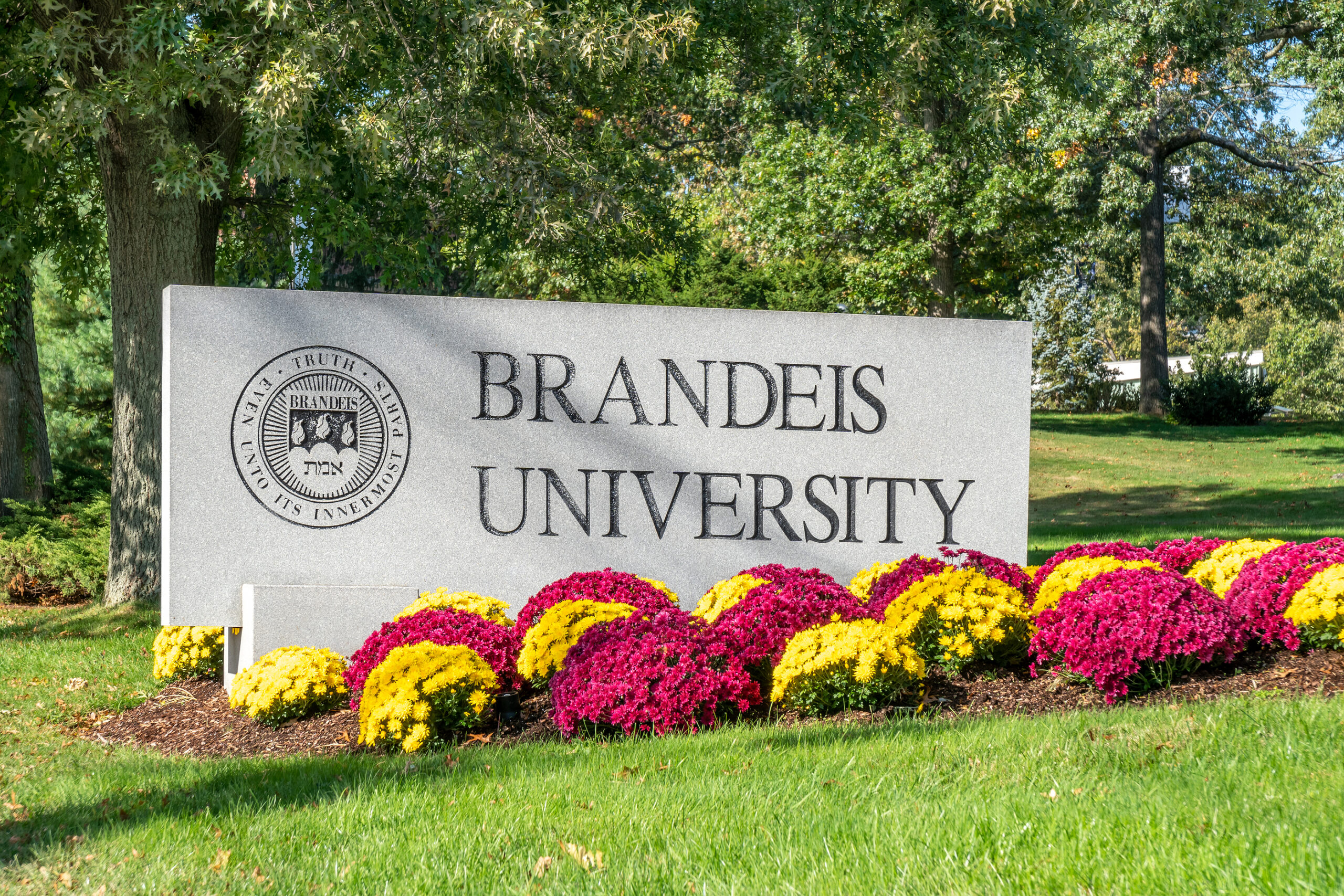 Industry mentor in Brandeis University